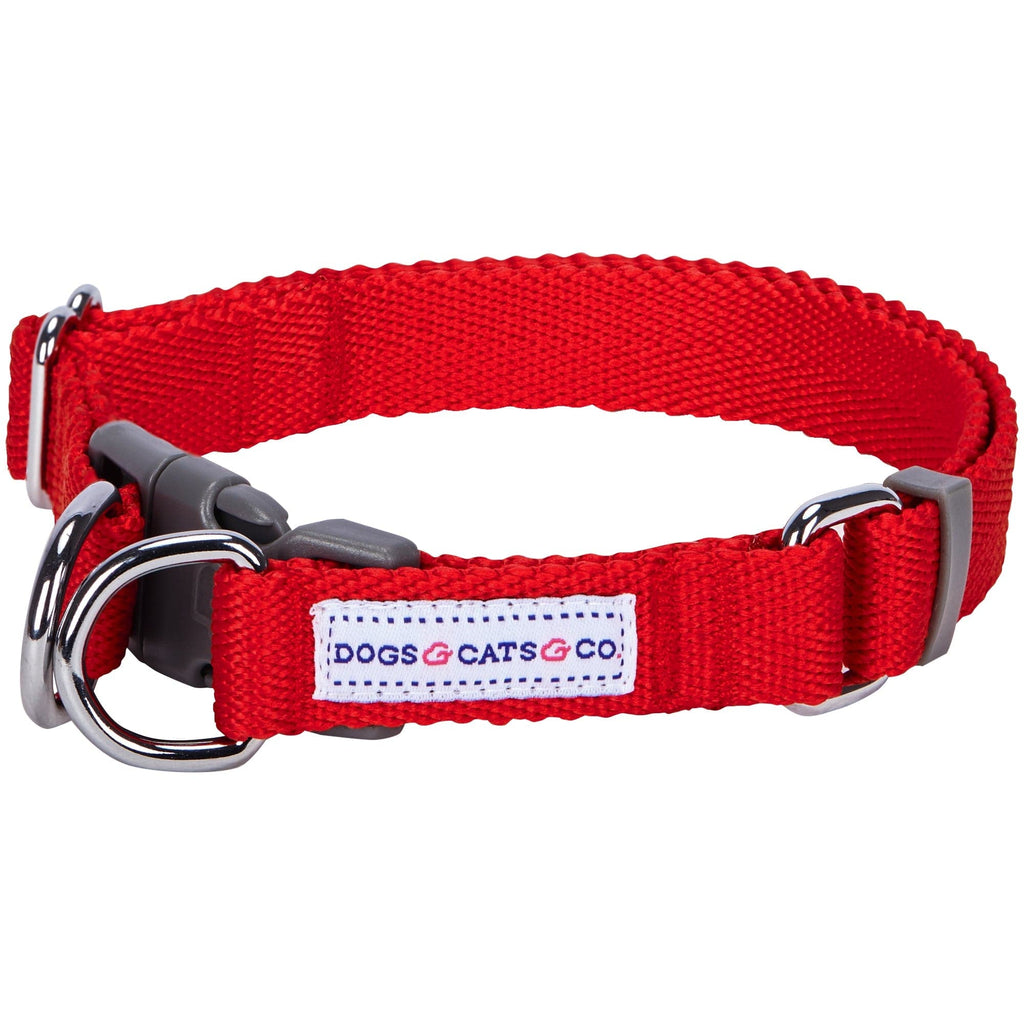Dog Collar DOGS & CATS & CO. Dogs & Cats & Co. Double D-Ring Classic Chic Solid Color Dog Collar Fiery Red / Small