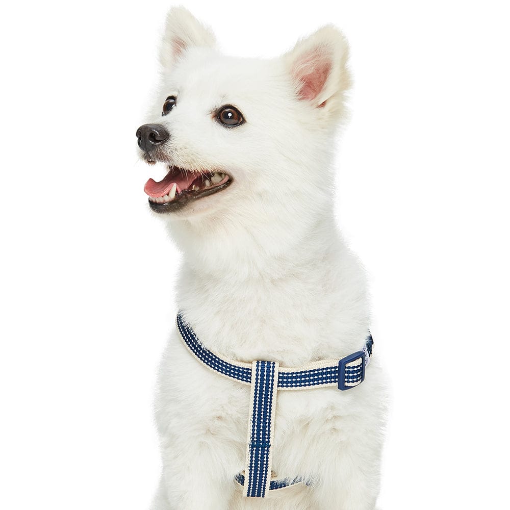 Dog Harness DOGS & CATS & CO. In The Night Dog Harness Navy Blue / Small