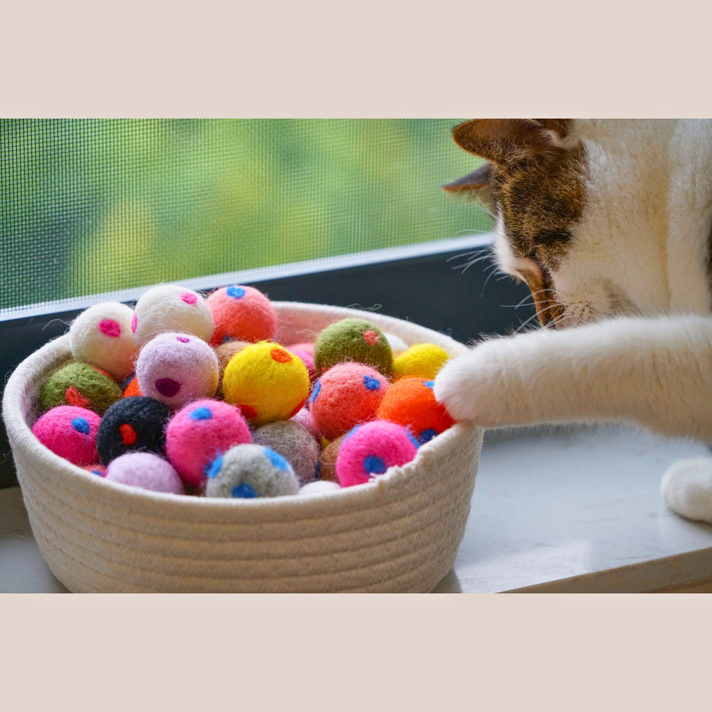cat toy Blueberry Pet Handmade Wool Felt Cat Toy Set – 50-Piece Colorful Polka Dot Ball Collection 🐾 Soft, Lightweight, and Fun for Playful Cats! 🐾