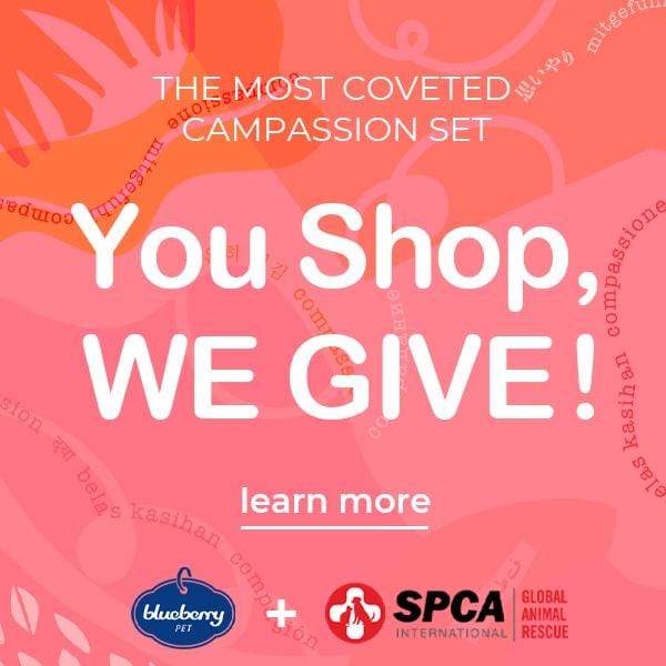 Collection page banner